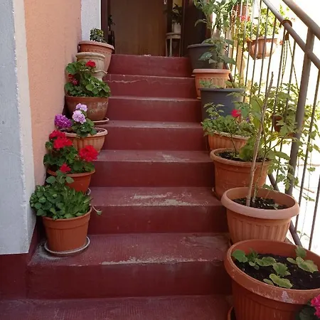 Alina Centar Apartman Novigrad Istria