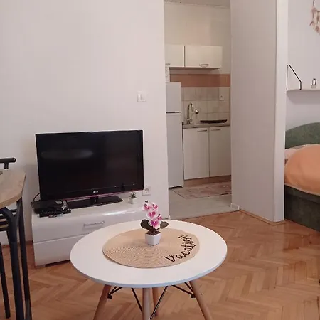 Alina Centar * Новиград